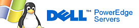 Unmetered Dedicated Servers